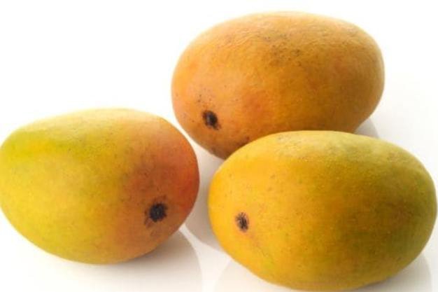 Mango Kesar